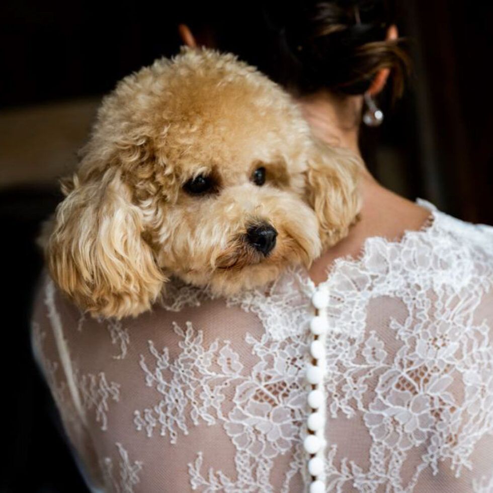 Fotografía de Boda en Barcelona